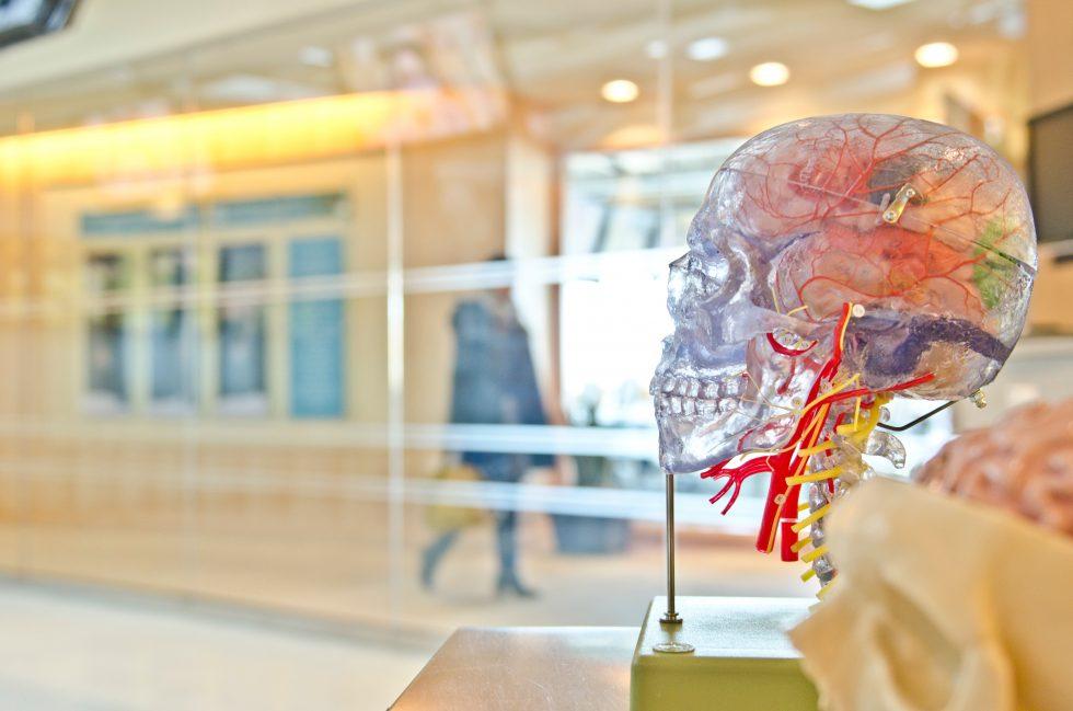 Guest Blog: Understanding Traumatic Brain Injury and its Consequences